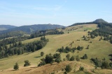 Fot. Arch. UMiG Szczawnica