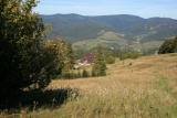 Fot. Arch. UMiG Szczawnica