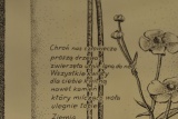 Fot. Magdalena Wojtarowicz