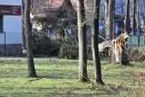 Fot. Janusz Wojtarowicz