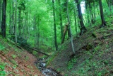 Fot. Czytelnik Pieninyinfo.pl