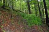 Fot. Czytelnik Pieninyinfo.pl