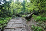 Fot. Czytelnik Pieninyinfo.pl