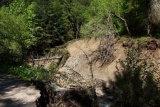 Fot. Borkowska Anna
