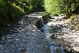 Fot. Borkowska Anna