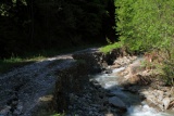 Fot. Borkowska Anna