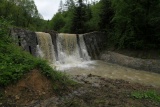 Fot. Borkowska Anna