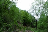 Fot. Borkowska Anna