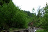 Fot. Borkowska Anna