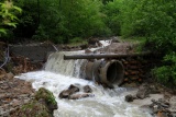 Fot. Borkowska Anna