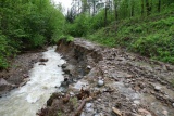 Fot. Borkowska Anna