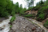 Fot. Borkowska Anna