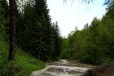 Fot. Borkowska Anna