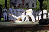 Fot. Pieninyinfo.pl