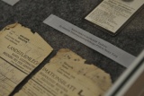 Fot. Pieninyinfo.pl