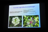 Fot. Pieninyinfo.pl