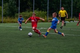Fot. D. Ćwiertniewicz