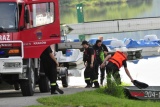 Fot. Pieninyinfo.pl
