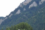 Fot. Janusz Wojtarowicz