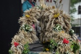 Fot. Pieninyinfo.pl