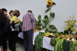 Fot. Pieninyinfo.pl