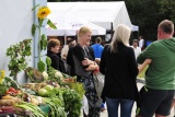 Fot. Pieninyinfo.pl