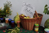 Fot. Pieninyinfo.pl