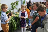 Fot. Pieninyinfo.pl