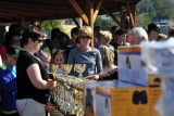 Fot. Pieninyinfo.pl