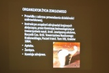 Fot. Pieninyinfo.pl