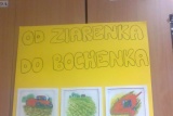 Fot. Arch. szkoły