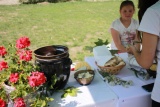 Fot. Aleksandra Ciesielka