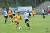 Fot. Wojciech Niezgoda