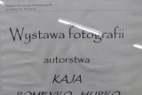 Fot. 