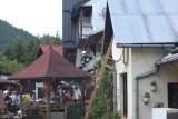 Fot. Małgorzata Knutelska