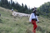 Fot. AS