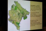 Fot. Agnieszka Stopka