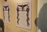 Fot. Magdalena Wojtarowicz