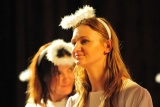 Fot. Magdalena Wojtarowicz