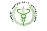 Fot. 