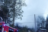 Fot. Katarzyna Gabryś