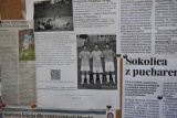 Fot. Magda Wojtarowicz