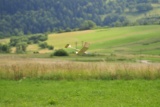 Fot. Janusz Wojtarowicz