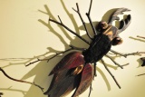 Fot. Magdalena Wojtarowicz
