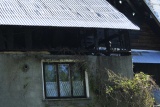Fot. Pieninyinfo.pl