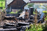 Fot. Pieninyinfo.pl