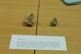Fot. Pieninyinfo.pl