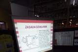 Fot. Arch. szkoły