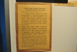 Fot. Magdalena Wojtarowicz