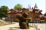 Fot. Arch. UMiG Szczawnica